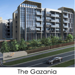 the-gazania